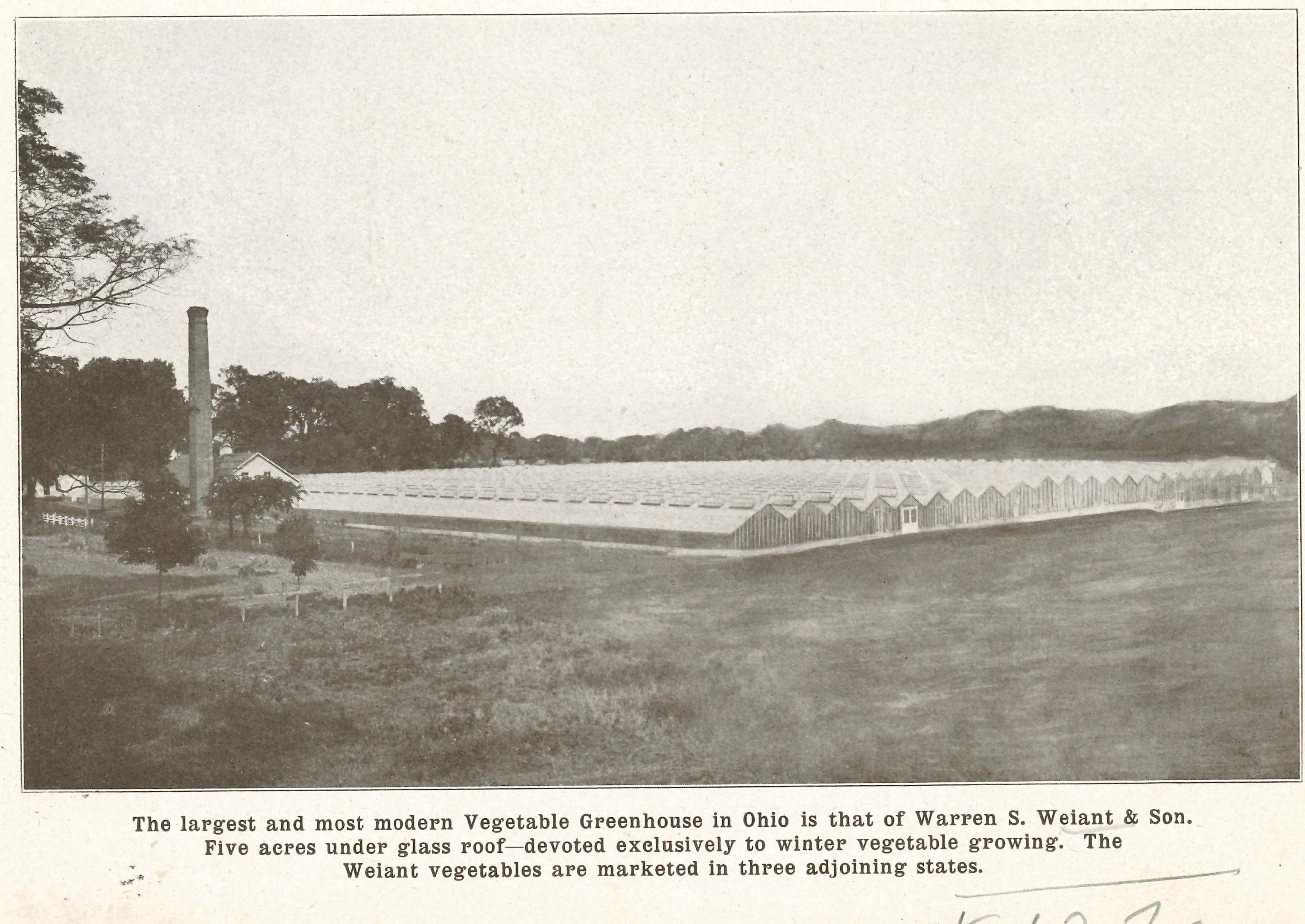 Weiant Greenhouses 1911.jpg