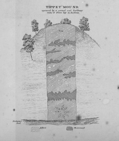 File:Diagram of excavation of tippet mound.jpg