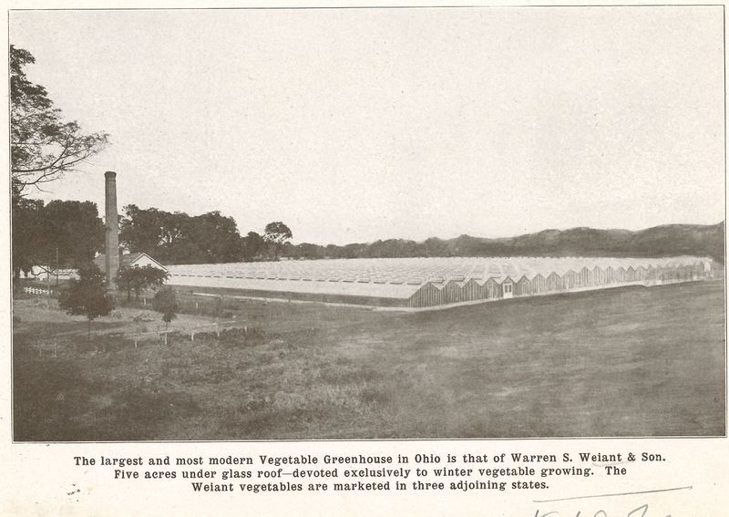 File:Weiant Greenhouses 1911.jpg