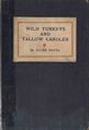 Wild Turkeys and Tallow Candles Hayes.jpg